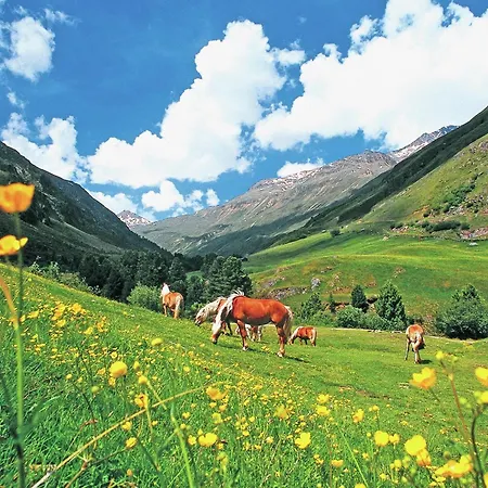 In Near Slopes Апартаменты Лангенфельд