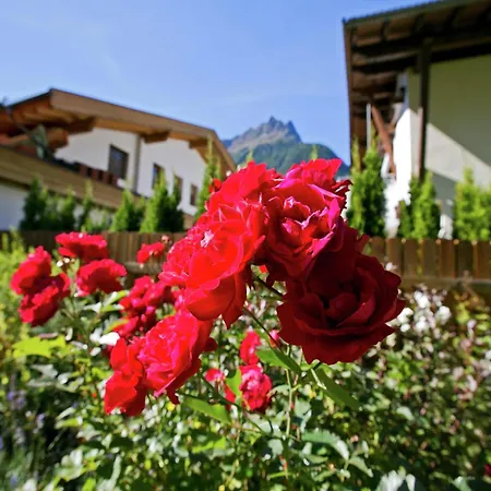 In Near Slopes 朗根费尔德