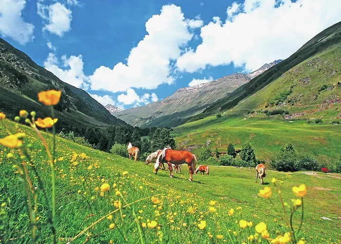 In Near Slopes 公寓 朗根费尔德